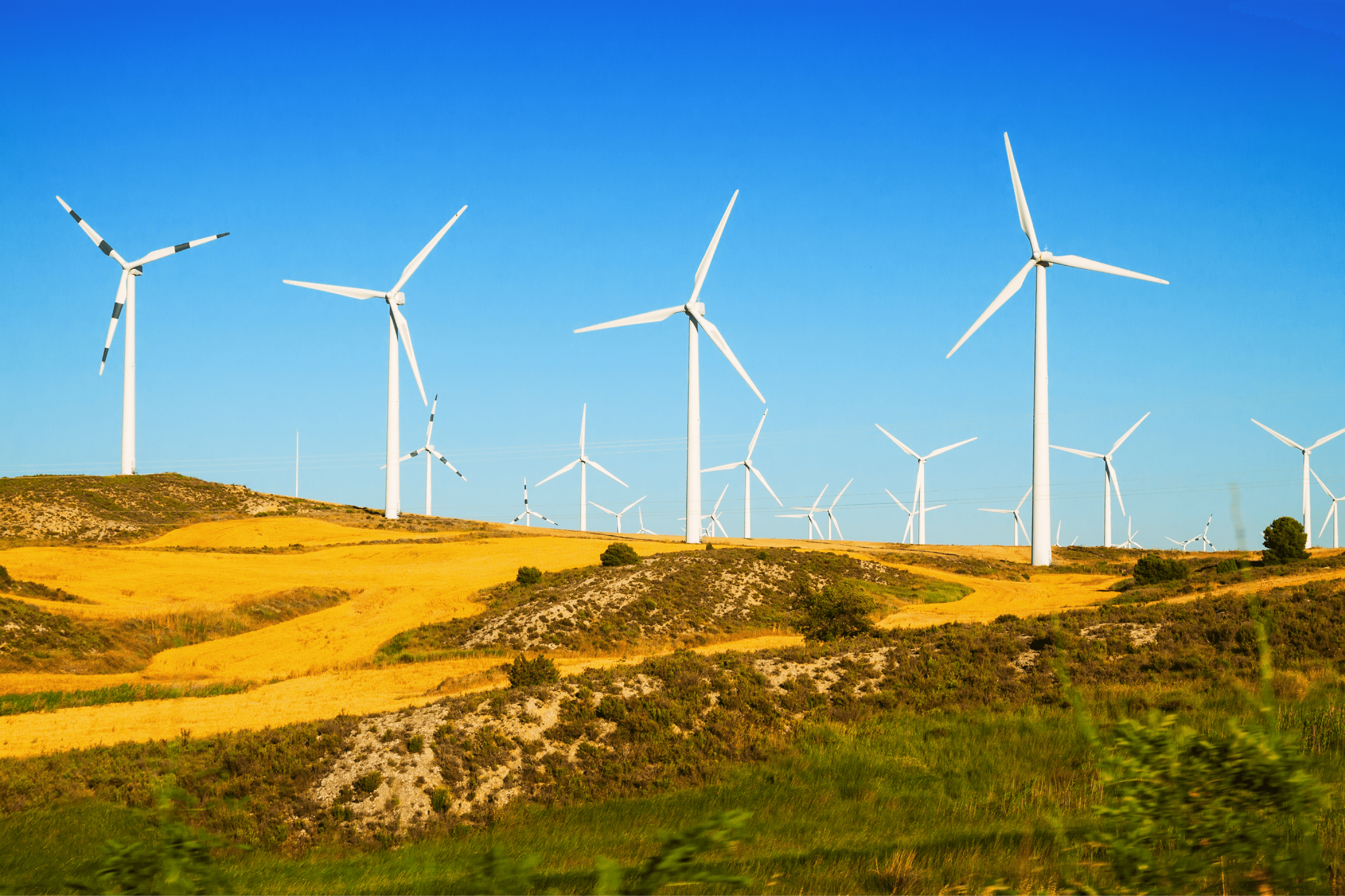 Prime Engineering y TSR Wind: Soluciones Robóticas para Turbinas Eólicas